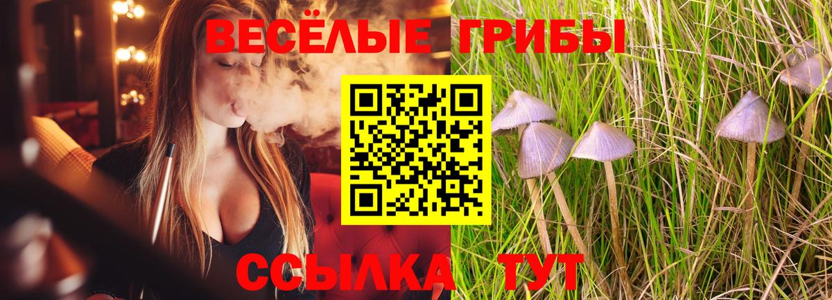 Ливны  Галлюциногенные грибы MAGIC MUSHROOMS  Вход с VPN  Галлюциногенные грибы мухоморы 